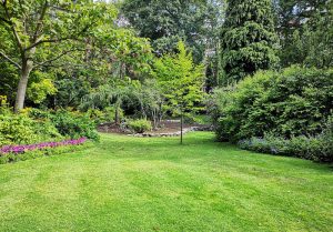 Optimiser l'expérience du jardin à Lessard-et-le-Chene